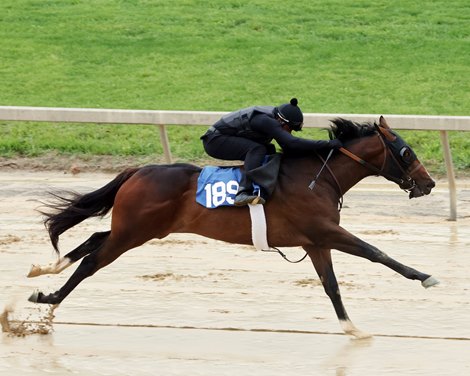 Seven Share Fastest Time at F-T Midlantic Breeze Show