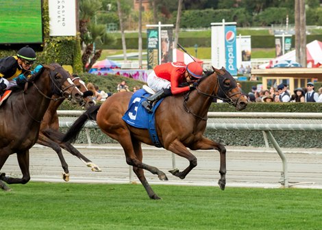 Dicey Mo Chara Lines Up for Fourth Whittingham Attempt