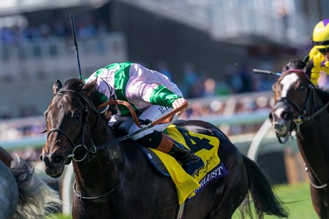 Starlust to Prep for Royal Ascot With Temple Stakes Run