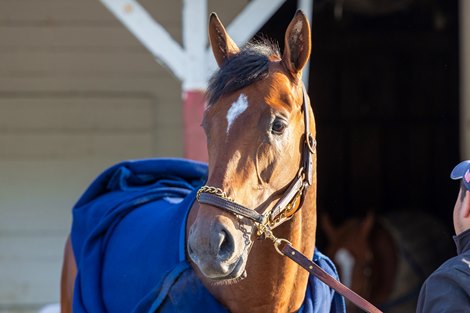 Journalism to Enter Preakness – BloodHorse