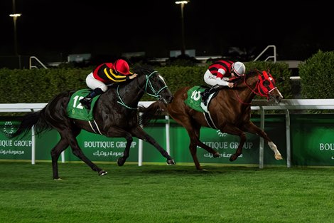 Ascoli Piceno, Stellenbosch Clash in Victoria Mile