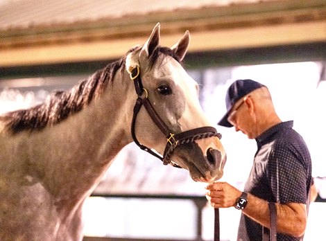 Quick Takes on Nine 3-Year-Olds Entered in Preakness