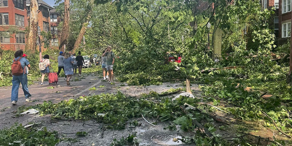 St. Louis metro sees damage from tornado-warned storm