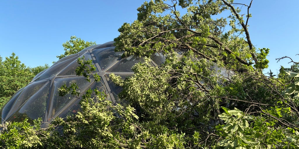 St. Louis Zoo scrambles animals, 10,000 visitors to safety amid EF-3 tornado