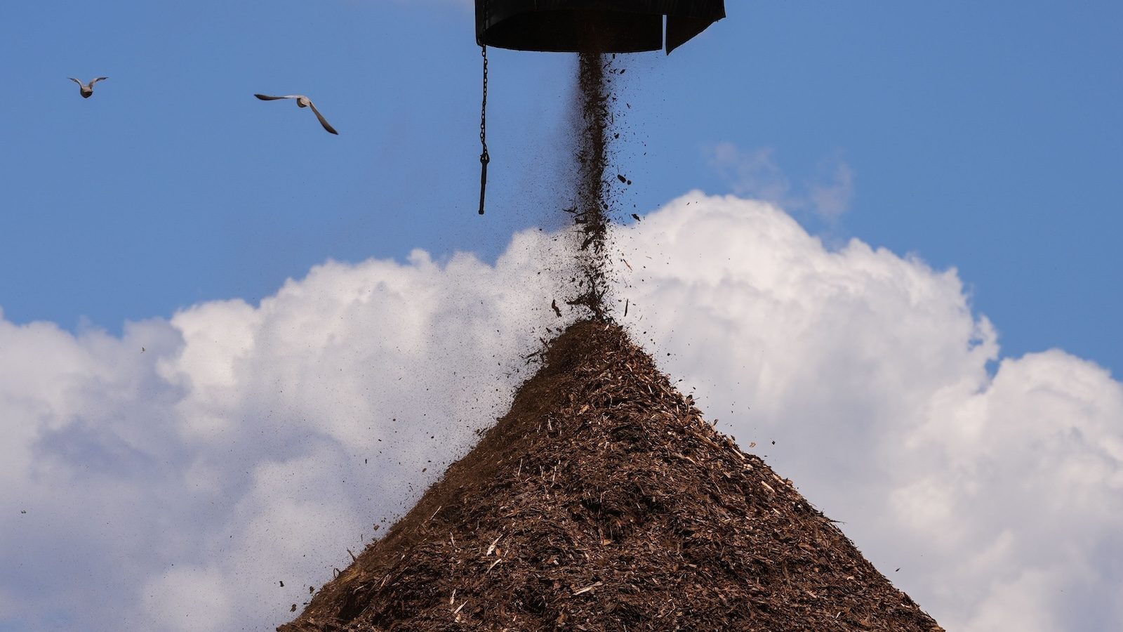 In California, a Biomass Company’s Expansion Raises Fears of More Fires