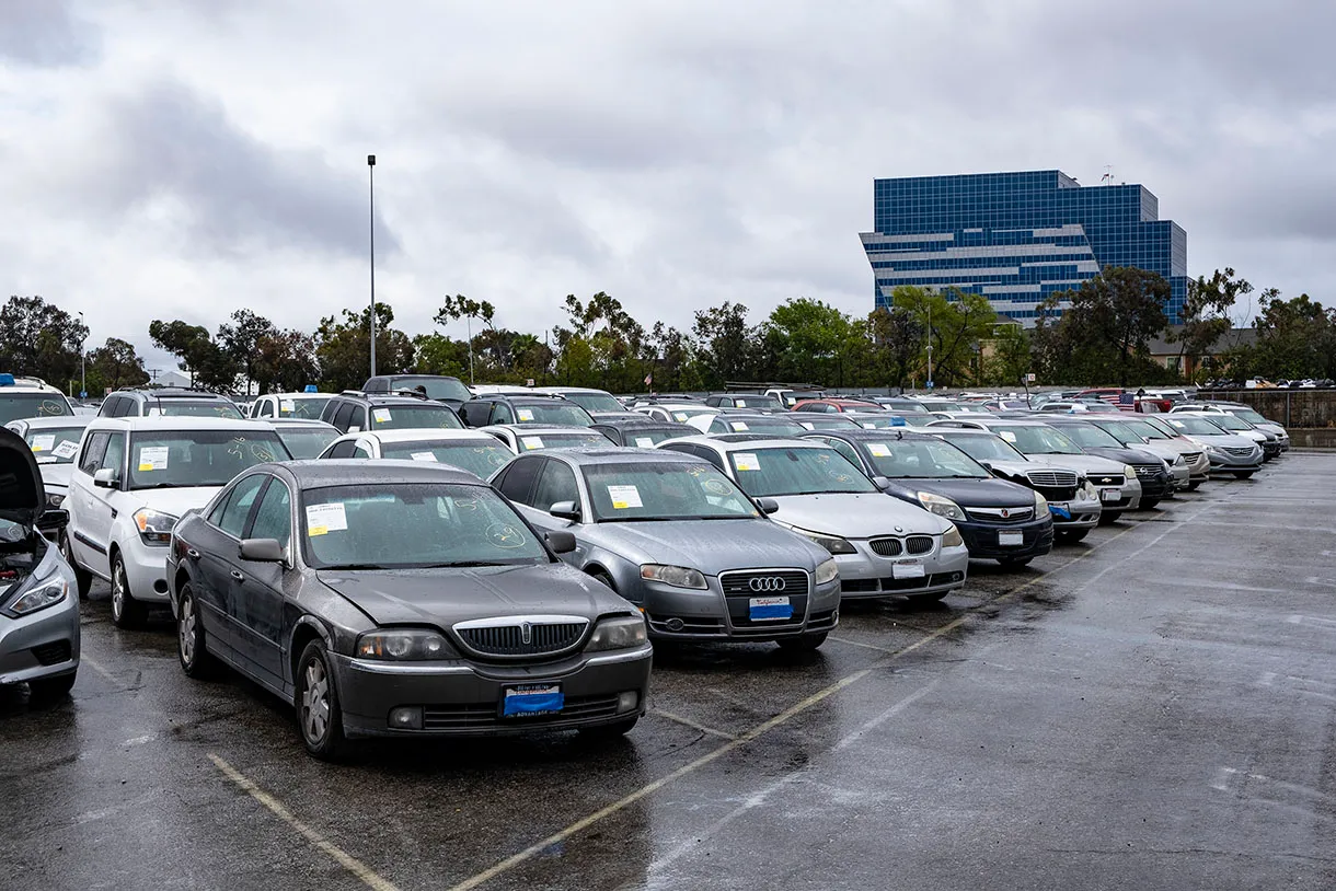Marhaba Auctions Set To Break Record With UAE’s Largest Live Car Auction