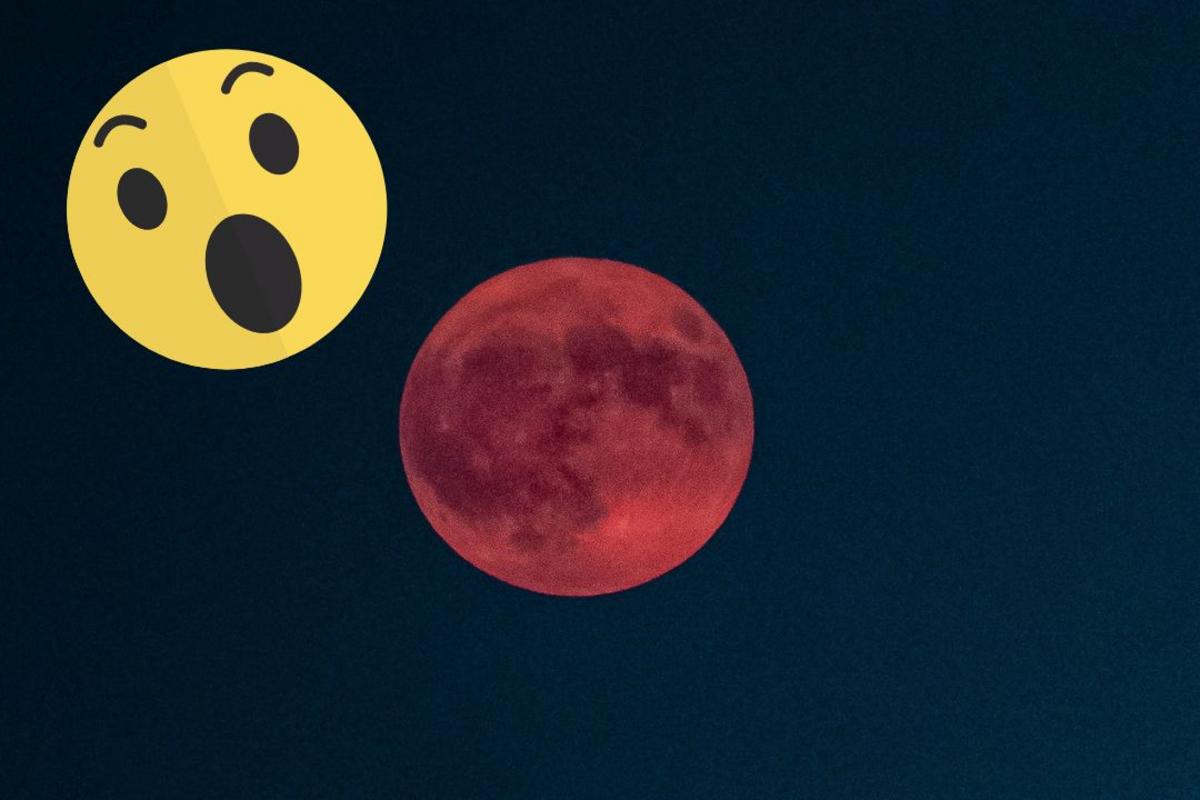 All About The ‘Ultra Rare’ Strawberry Moon and How to See It
