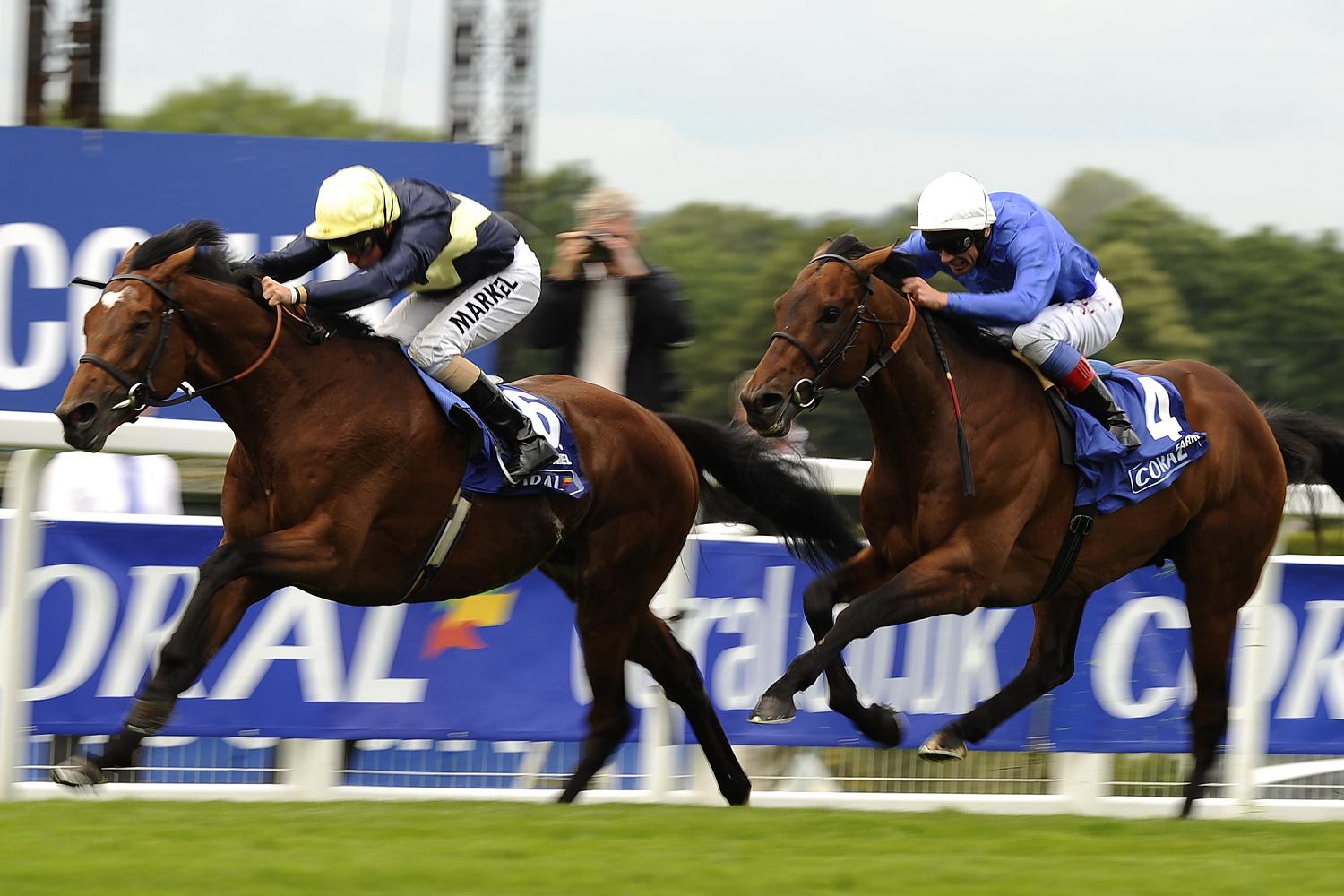 Stud Farms Catch Up After Slow Breeding Season Start