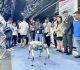 Dubai, UAE GITEX Global 2025: Healing with Intelligence